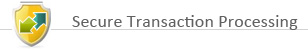 Secure Transaction Processing