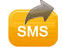 Instant SMS Delivery